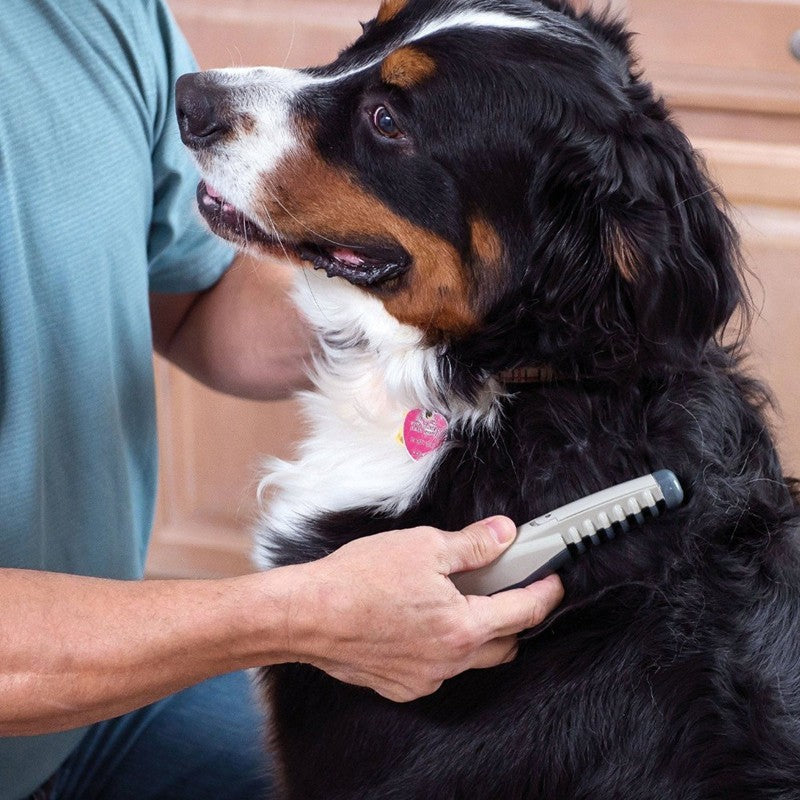 Electric Pet Grooming Comb